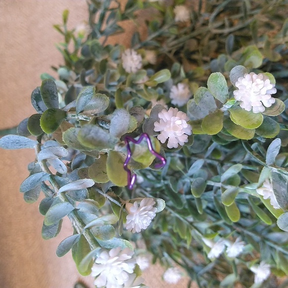 Set of 4 Star Cartilage Earrings NWOT - Picture 6 of 9